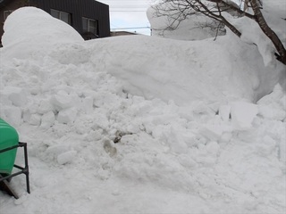 100_0013 (4)_R.JPG