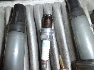 CIMG0944_R.JPG