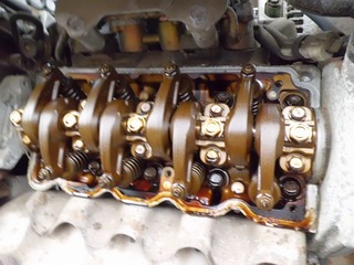 CIMG1270.jpg