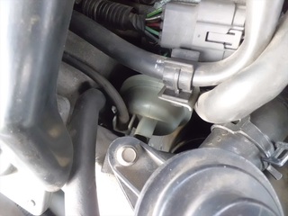 CIMG2621_R.JPG