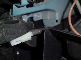 CIMG5555_R.JPG
