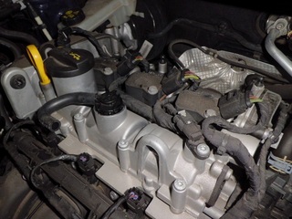 CIMG8239_R.JPG