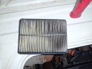 CIMG8554_R.JPG