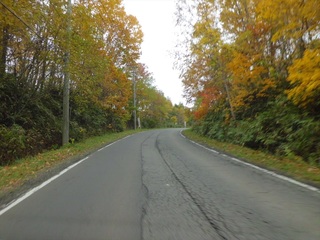 CIMG9444_R.JPG
