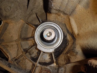 CIMG9943_R.JPG