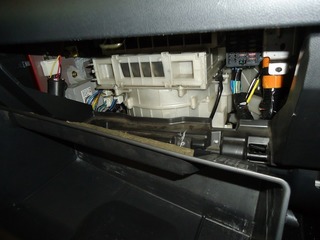 DSC00009.jpg
