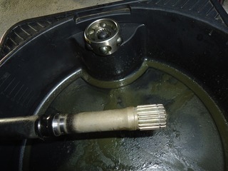 DSC00138.jpg