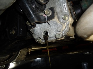 DSC00754.jpg