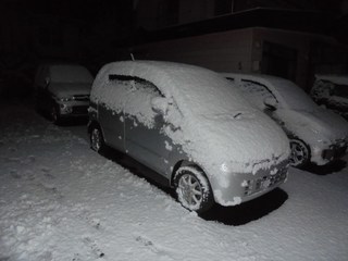 DSC00981_R.JPG