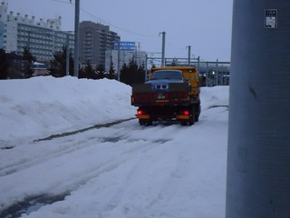 DSC01187.jpg