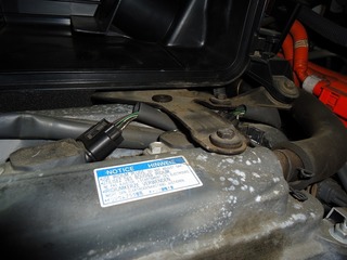 DSC01825.jpg