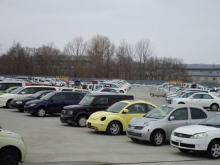 DSC01895.jpg