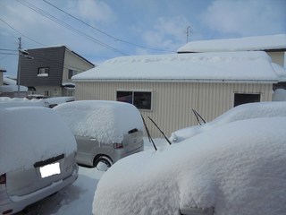 DSC01908_R.JPG