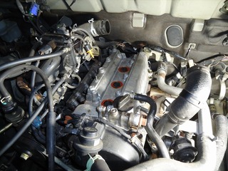 DSC02684.jpg