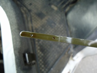 DSC03175.jpg