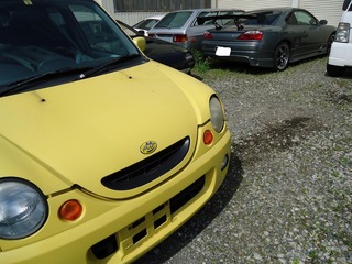 DSC03184.jpg