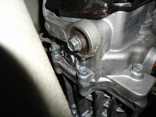 DSC03236.jpg