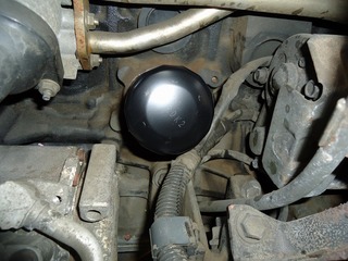 DSC03999.jpg