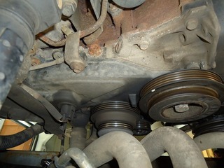 DSC04318.jpg