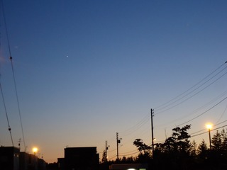 DSC04563.jpg