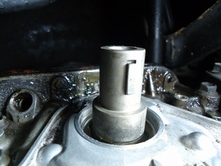 DSC04857.jpg