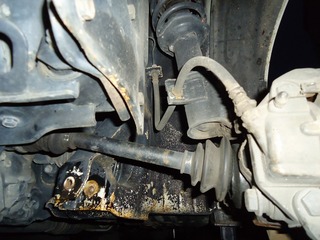 DSC04881 (2).jpg