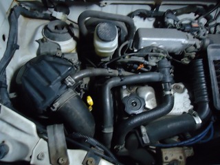 DSC04964.jpg