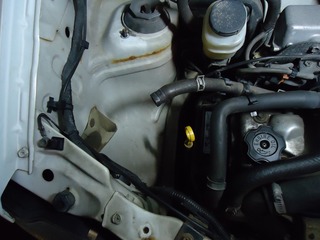DSC04988 (2).jpg