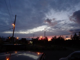 DSC05036.jpg