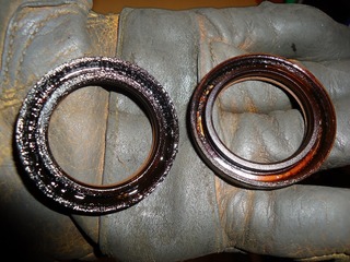 DSC05227 (2).jpg