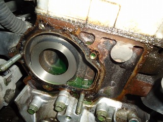 DSC05268.jpg