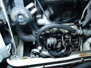 DSC05351.jpg