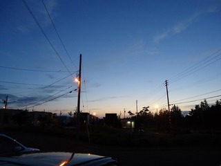 DSC05402.jpg