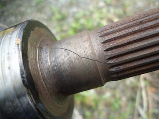 DSC05537.jpg