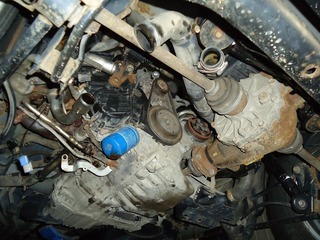 DSC05824.jpg