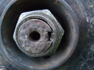 DSC05893.jpg