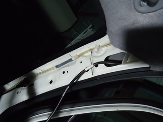 DSC07154.jpg