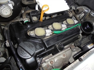 DSC07528_R.JPG