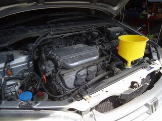 DSC07774.jpg
