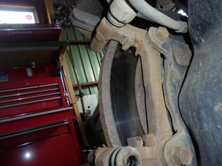 DSC07951_R.JPG