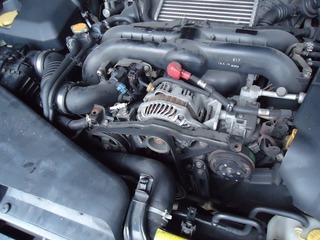 DSC08252.jpg
