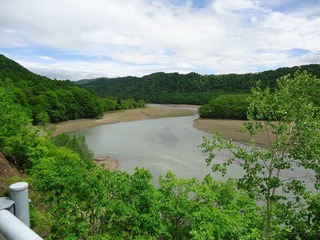 DSC08256.jpg