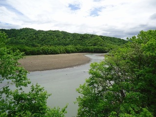 DSC08257.jpg