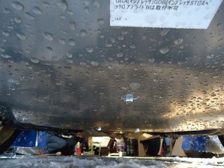 DSC08526.jpg