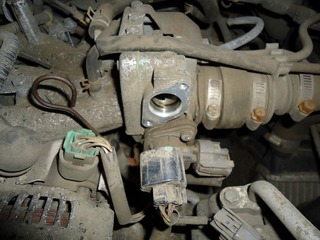 DSC08728.jpg