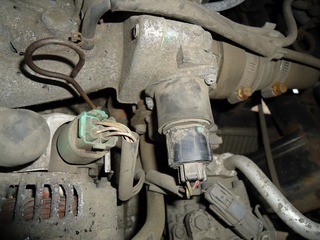 DSC08734.jpg