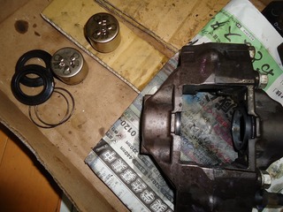 DSC08907.jpg