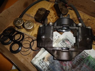 DSC08913.jpg
