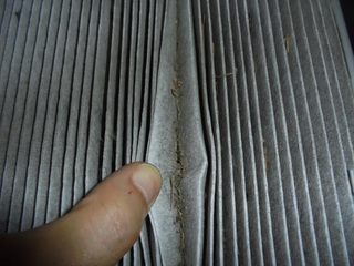 DSC09019_R.JPG