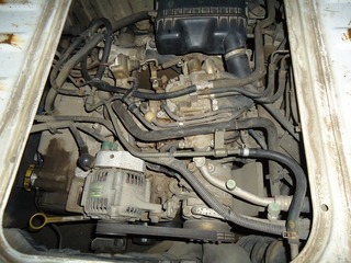 DSC09222.jpg